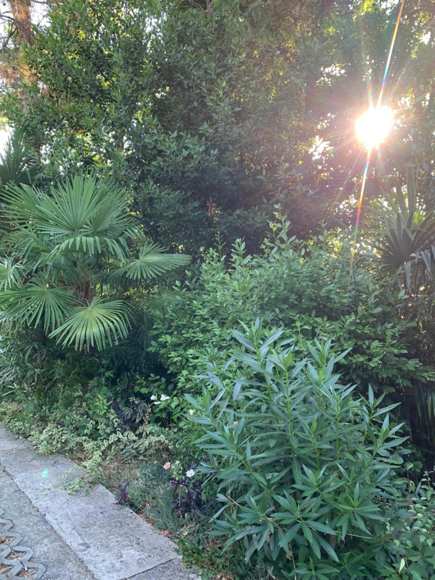 Sheltered Green Oasis In Opatija Dış mekan fotoğraf